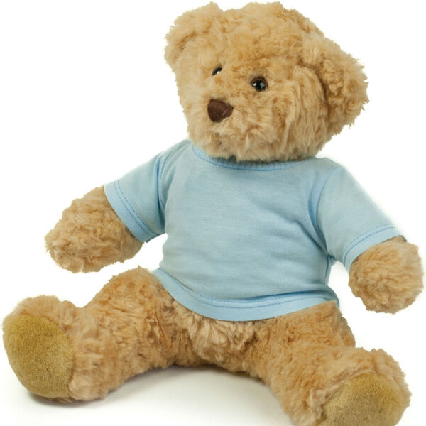 Mumbles Teddy T-Shirt Thumbnail