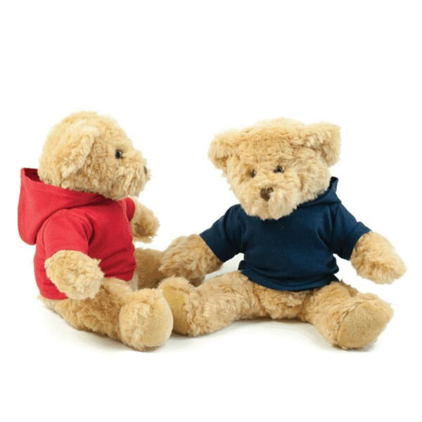 TEDDY HOODIE Thumbnail