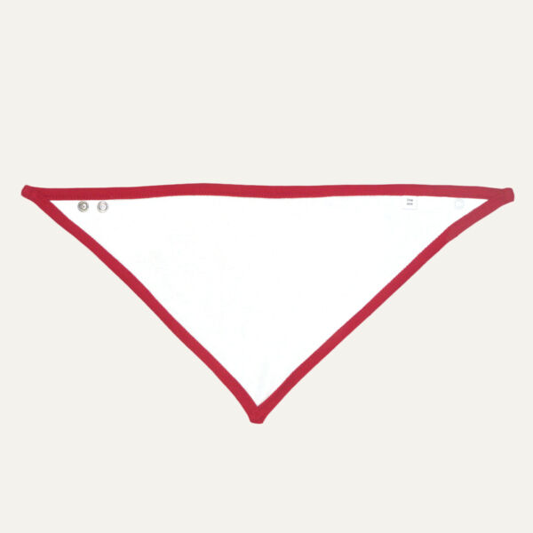 BabyBugz Bandana Bib Thumbnail