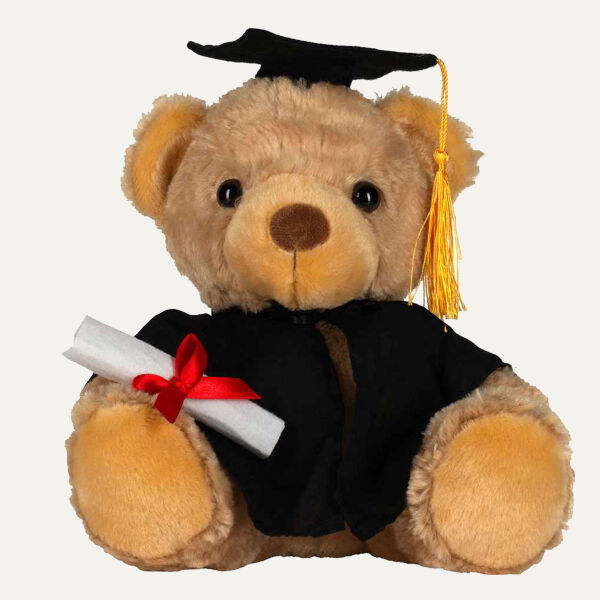 Mumbles Graduation Bear Thumbnail