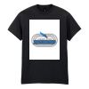 Heavy Cotton™ adult t-shirt Thumbnail