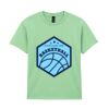 Heavy Cotton™ youth t-shirt Thumbnail
